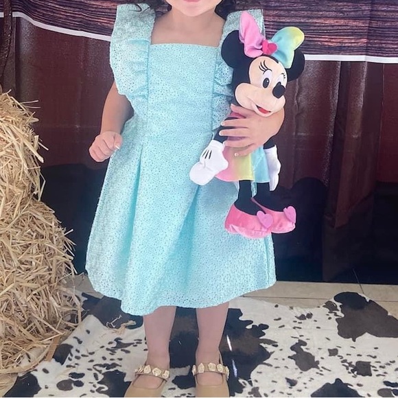 Janie and Jack Sleeveless Eyelet Easter or Interview Dress Sz 3 - Picture 4 of 4